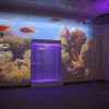 Проекционный дизайн "Виртуальная реальность" базовый комплект 500 анимаций - «globural.ru» - Пермь