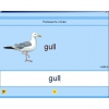 Английский язык. Освоение клавиатуры - «globural.ru» - Пермь