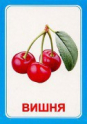 Логопедические карточки и картинки для развития речи - «globural.ru» - Пермь