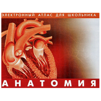 Анатомия. (Цифровой атлас школьника) - «globural.ru» - Пермь