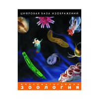 Зоология. Микрофотографии. (Цифровая база изображений) - «globural.ru» - Пермь