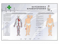 Электрифицированный стенд "Остановка кровотечения" - «globural.ru» - Пермь