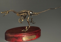 Модель скелета динозавра Velociraptor - «globural.ru» - Пермь