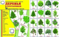 Демонстрационные карточки "Деревья и кустарники" - «globural.ru» - Пермь