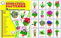 Демонстрационные карточки "Комнатные растения" - «globural.ru» - Пермь