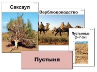 Модель-аппликация "Природные зоны России" - «globural.ru» - Пермь