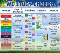Стенд "We study english" - «globural.ru» - Пермь
