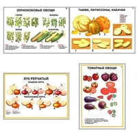 Плакаты ПРОФТЕХ "Ассортимент овощных культур" (12 пл, винил, 70х100) - «globural.ru» - Пермь