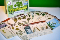 Гербарий к курсу основ общей биологии - «globural.ru» - Пермь