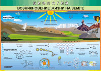 Таблица Возникновение жизни на Земле 1000*1400 винил - «globural.ru» - Пермь
