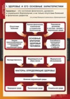 ОБЖ Здоровый образ жизни (комплект таблиц) - «globural.ru» - Пермь