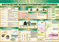 Таблица Биотические взаимоотношения организмов 1000*700 (винил) - «globural.ru» - Пермь