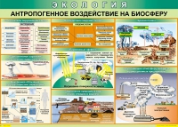 Таблица Антропогенное воздействие на биосферу 1000*700 винил - «globural.ru» - Пермь