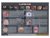 Стенд "Курение" (вариант 1) - «globural.ru» - Пермь
