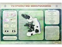 Электрифицированный стенд "Устройство микроскопа и правила работы c ним" - «globural.ru» - Пермь