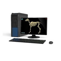 Макет масштабный «Скелет Лошади» Масштаб 1:2 - «globural.ru» - Пермь