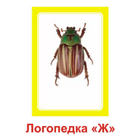 Логопедка "Ж" (логопедические карточки) - «globural.ru» - Пермь