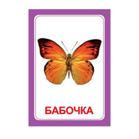 Логопедка "Ч" (логопедические карточки) - «globural.ru» - Пермь