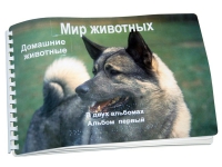 Пособие для слабовидящих "Домашние животные" - «globural.ru» - Пермь