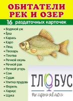 Раздаточные карточки "Обитатели рек и озер" - «globural.ru» - Пермь