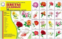 Демонстрационные карточки "Цветы садовые" - «globural.ru» - Пермь
