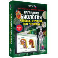 Наглядная биология. Человек. Строение тела человека - «globural.ru» - Пермь