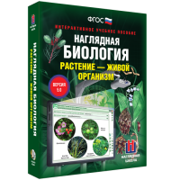 Наглядная биология. Растение - живой организм - «globural.ru» - Пермь