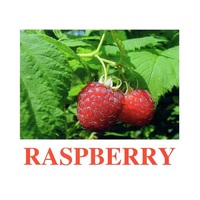 "Berries-1" ("Ягоды-1") английские карточки Домана - «globural.ru» - Пермь