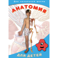 DVD  Анатомия для детей - «globural.ru» - Пермь