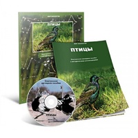 Электронное наглядное пособие «Птицы» - «globural.ru» - Пермь