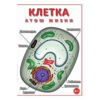 DVD Клетка - "атом жизни" - «globural.ru» - Пермь