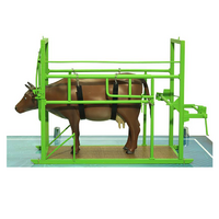 Наглядный макет «Методы и устройства для фиксации КРС» - «globural.ru» - Пермь