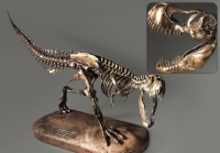 Модель скелета динозавра Tyrannosaurus - «globural.ru» - Пермь