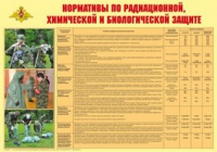 Плакат "Нормативы по радиационной, химической и биологической защите" - «globural.ru» - Пермь
