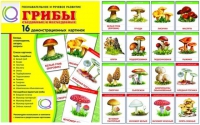 Демонстрационные карточки  "Грибы съедобные и не съедобные" - «globural.ru» - Пермь