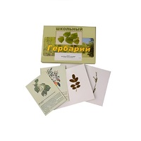 Гербарий "Деревья и кустарники" (22 вида, с иллюстрациями) - «globural.ru» - Пермь