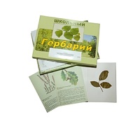 Гербарий "Дикорастущие растения" (30 видов, с иллюстрациями) - «globural.ru» - Пермь