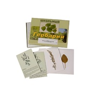 Гербарий "Лекарственные растения" (22 вида, с иллюстрациями) - «globural.ru» - Пермь