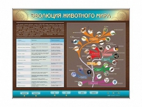Интерактивный электрифицированный стенд "Эволюция животного мира" - «globural.ru» - Пермь