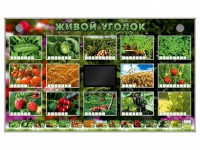 Комплект оборудования "Живой уголок" (растения) - «globural.ru» - Пермь