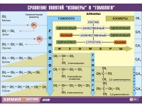 Таблица демонстрационная "Сравнение понятий изомер и гомолог" (винил 100х140) - «globural.ru» - Пермь