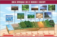 Таблица демонстрационная "Смена природных зон от полюсов к экватору" (винил 70x100) - «globural.ru» - Пермь