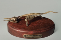 Модель скелета ихтиозавра Ichthyosaurus - «globural.ru» - Пермь