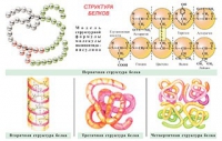 Плакаты и таблицы по общей химии - «globural.ru» - Пермь
