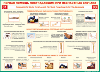  Таблица Общий порядок оказания первой помощи пострадавшим 1000*1400 винил	 - «globural.ru» - Пермь