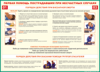 Таблица Порядок действий при внезапной смерти 1000*1400 винил - «globural.ru» - Пермь