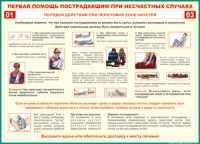 Таблица Порядок действий при переломах конечностей 1000*1400 винил - «globural.ru» - Пермь