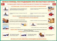 Таблица Порядок действий при коматозном состоянии пострадавшего 1000*1400 винил - «globural.ru» - Пермь