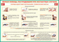 Таблица Порядок действий при ранениях и термических ожогах	 1000*1400 винил - «globural.ru» - Пермь