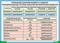 Химия. Сравнение понятий изомер и гомолог. Функциональные группы классов органических веществ (винил) - «globural.ru» - Пермь